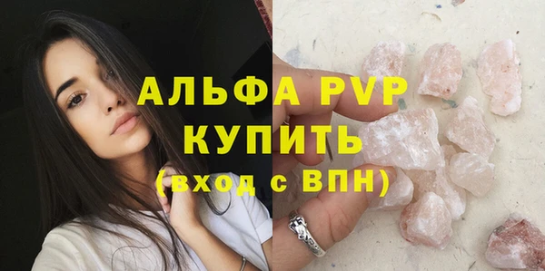 шишки Новодвинск