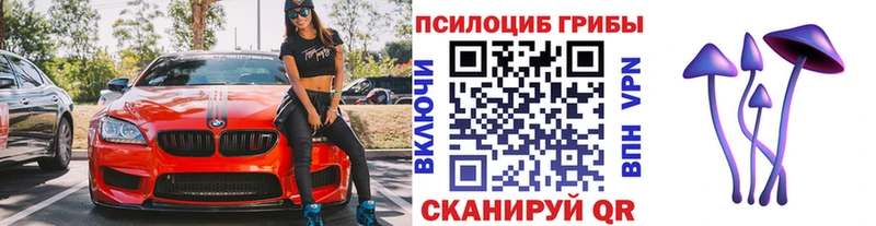 Купить  Орехово-Зуево  Псилоцибиновые грибы MAGIC MUSHROOMS 